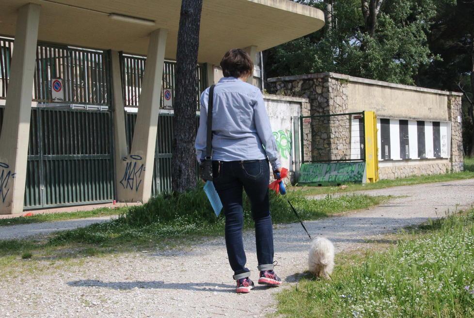 Allarme nella pineta di Viareggio, polpette riempite di chiodi per i cani 