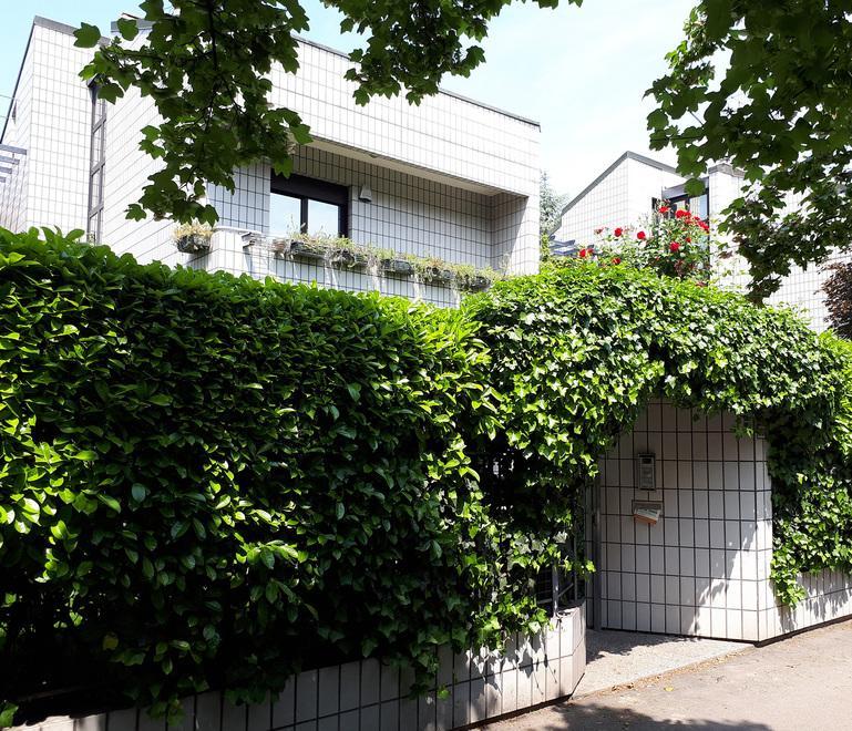 Modena. «Avevamo i ladri in casa mentre stavamo cenando» 