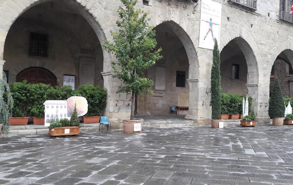 Sparite le transenne, al loro posto il verde 