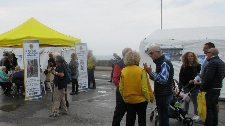 Medici in Piazza da record: 416 screening