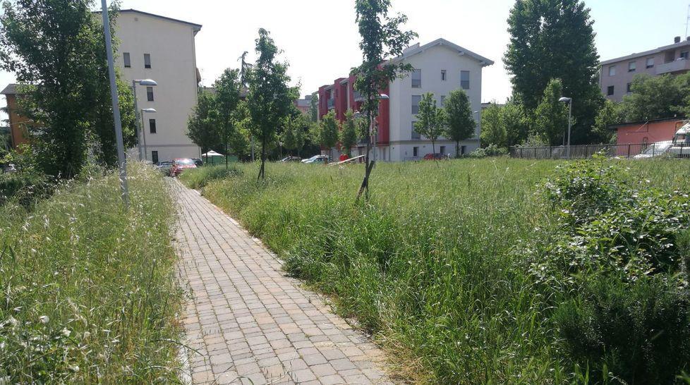 Via Bazzini, nel parchetto l’erba “si mangia” le panchine