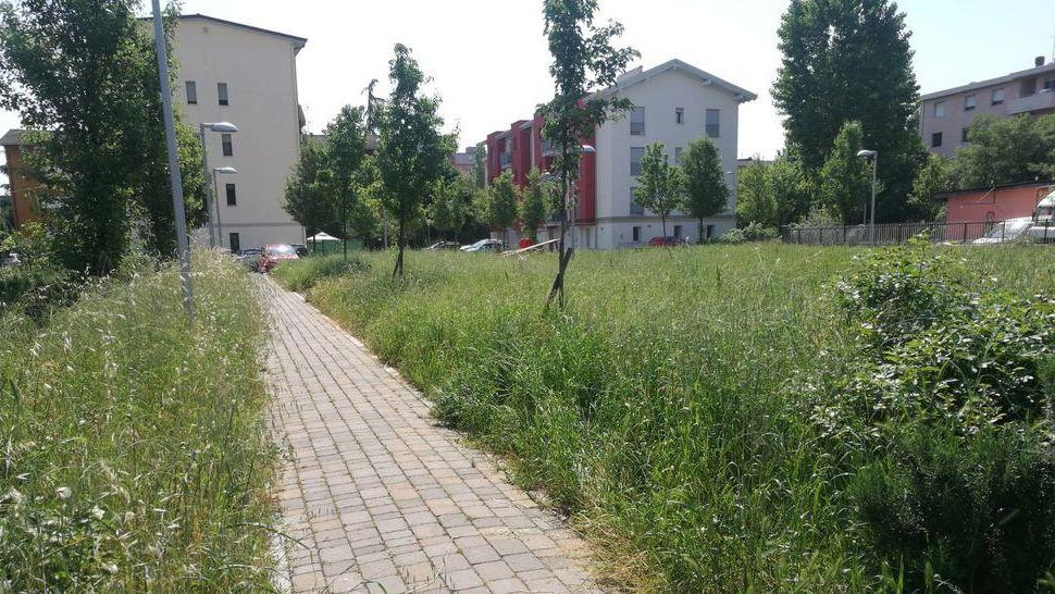 Via Bazzini, nel parchetto l’erba “si mangia” le panchine