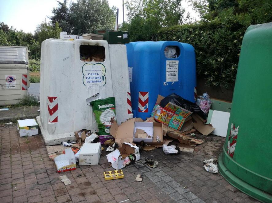 Vandali incendiano i bidoni della spazzatura