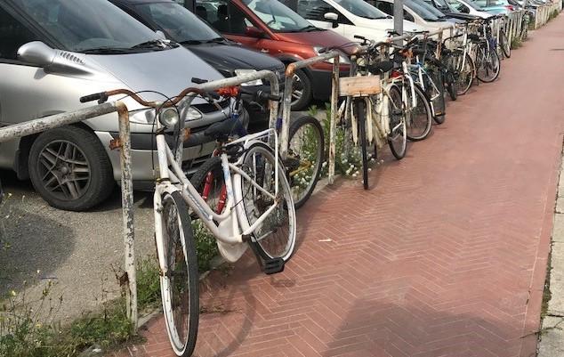 Biciclette sfruttate e abbandonate 