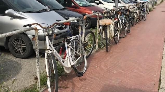 Biciclette sfruttate e abbandonate