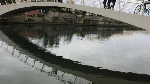 La Fossa dell’Abate è il cimitero delle biciclette