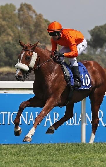 Serata sarda all’ippodromo delle Capannelle
