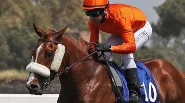 Serata sarda all’ippodromo delle Capannelle
