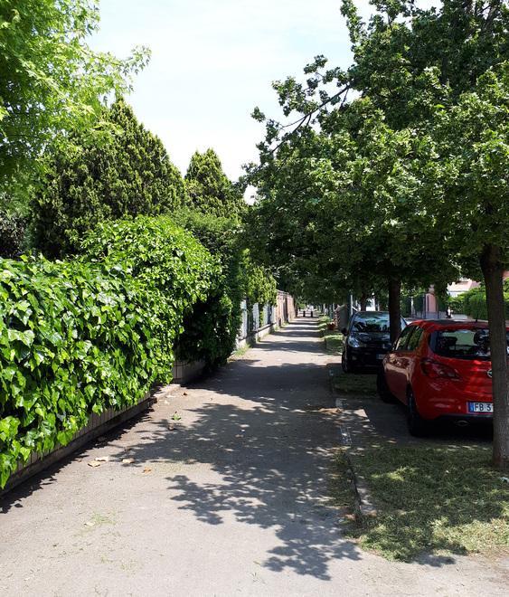 Buio, vegetazione fitta, serve una ciclabile 