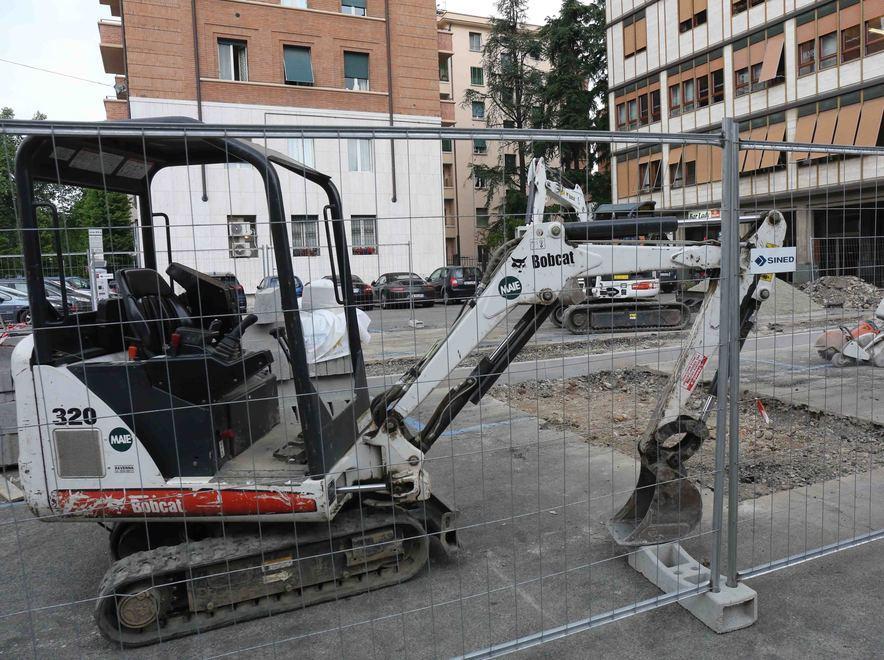 Spuntano 20 piante in piazza Vallisneri 