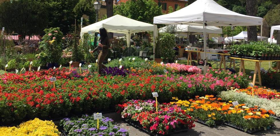 Torna Castello in fiore la festa di primavera 