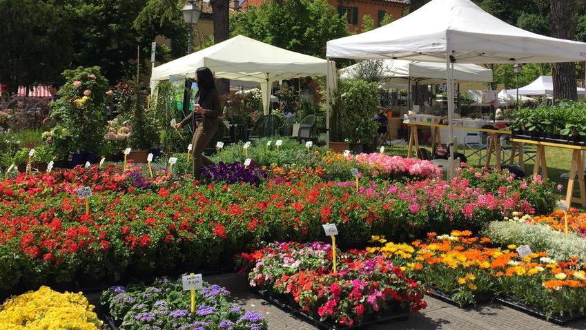 Torna Castello in fiore la festa di primavera