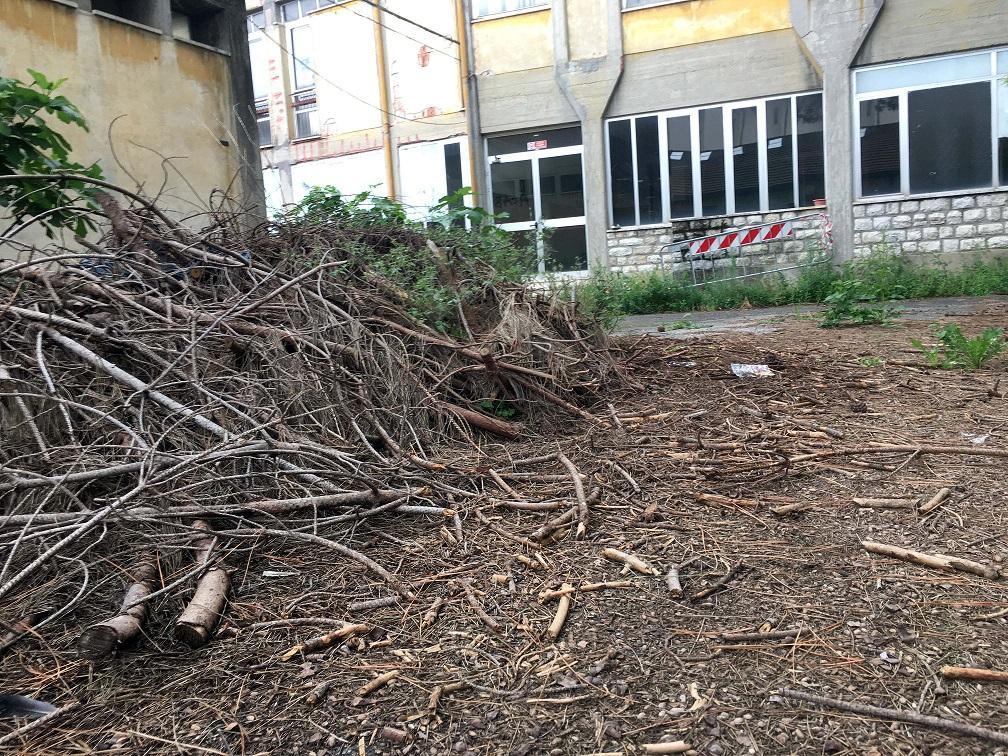 Lo stato di abbandono dell’ex Ipsia Pacinotti (foto di Franco Silvi)
