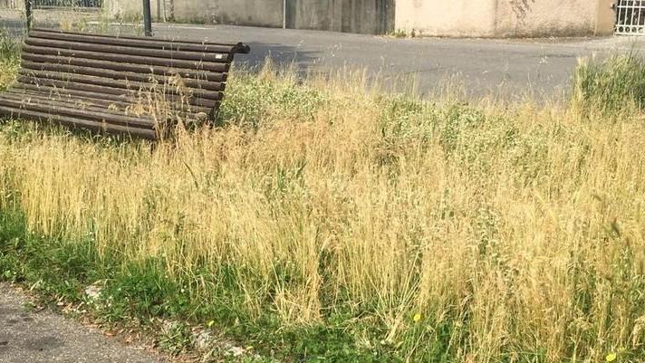 Proteste per il mancato taglio dell’erba