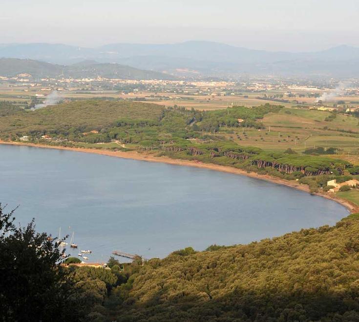 Nuova variante, confronto con i quartieri della città 