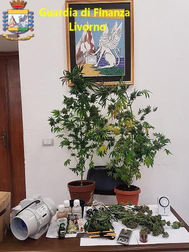 Casa-laboratorio della droga ad Ardenza, denunciato un livornese