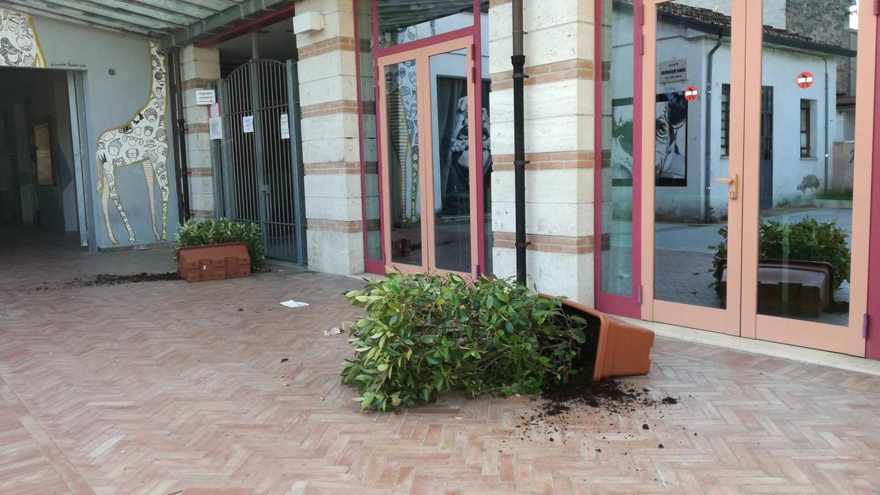 Prese a calci fioriere e un cestino: identificato e denunciato