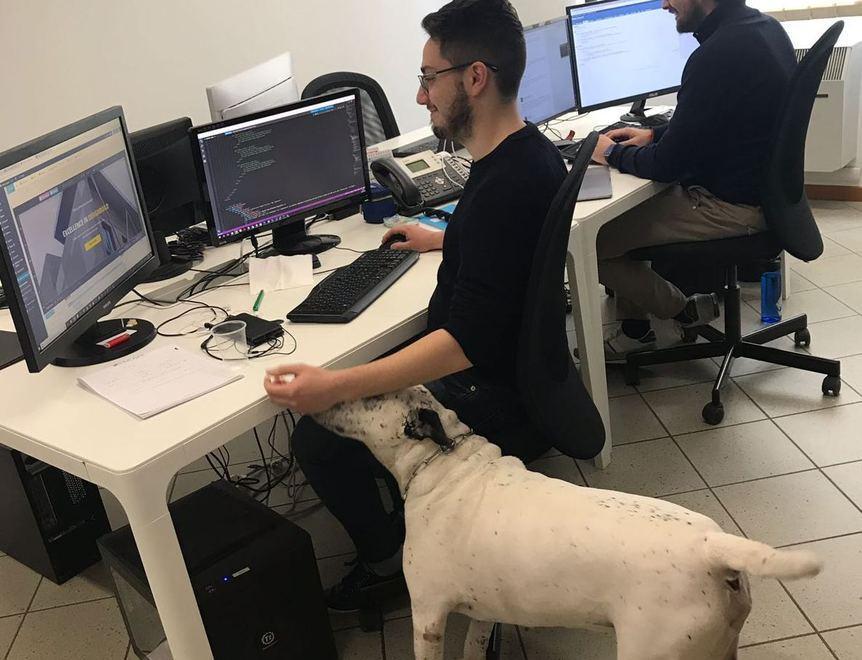 Tekapp, un’azienda a Formigine dove puoi portare il tuo cane in ufficio 