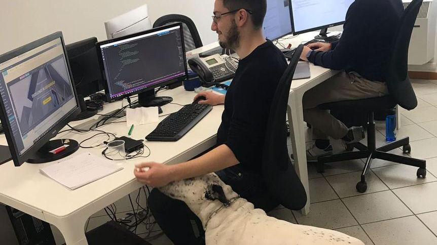 Tekapp, un’azienda a Formigine dove puoi portare il tuo cane in ufficio
