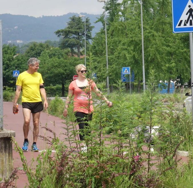 Una foresta da Baggio a S. Agostino 