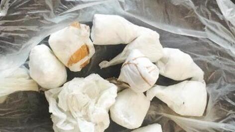 Aveva 21 grammi di cocaina: arrestato in pineta sul litorale