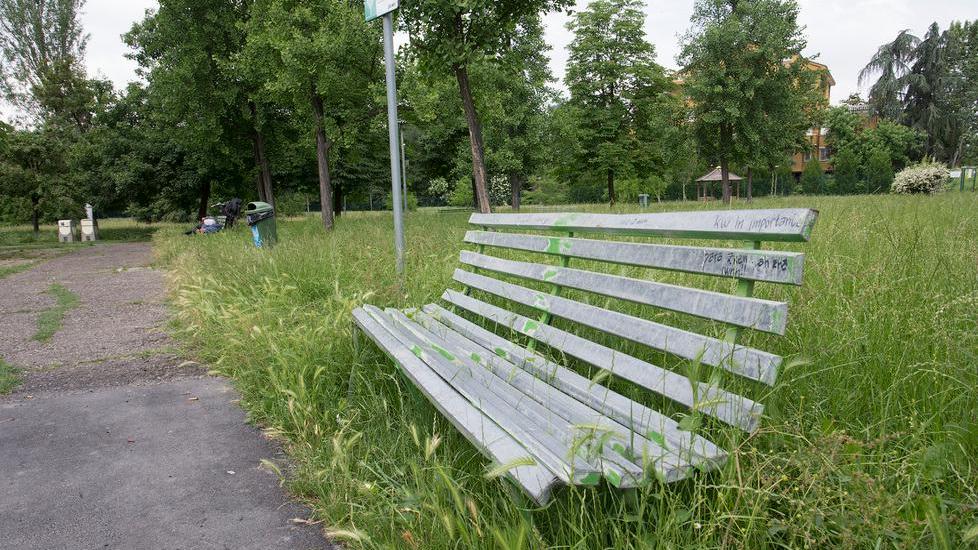 «L’erba è alta al parco Rocchi E tra il verde spuntano topi»