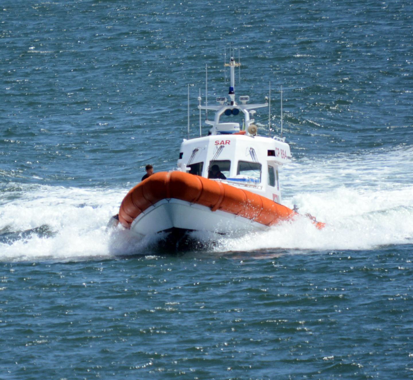 Animali vivi "in condizioni terribili" su una nave in rada a Cagliari: denuncia ambientalista