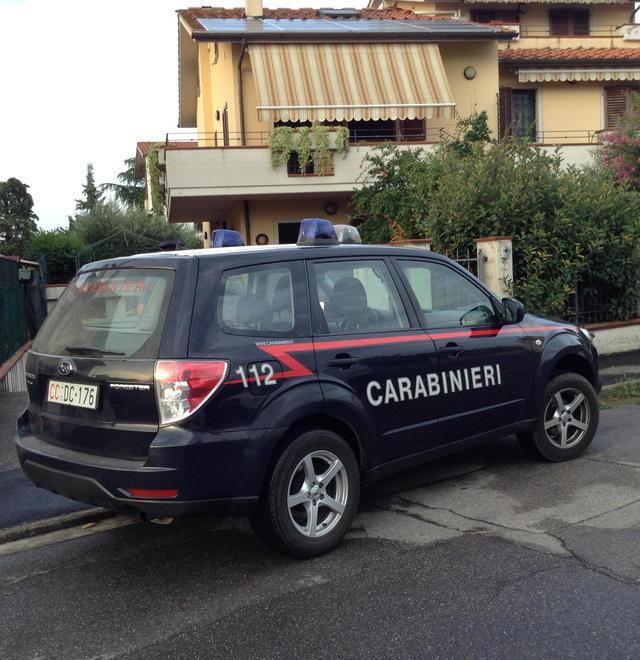 Ragazza morsa dai cani, madre a giudizio