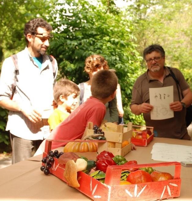 Oggi la 16ª festa “Il mio amico Albero”