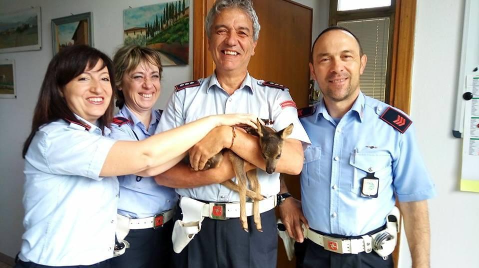 Gli portano una capriolina orfana e il vigile chiede di adottarla 