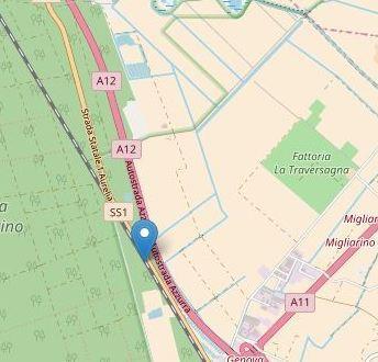 Lieve scossa di terremoto a Migliarino