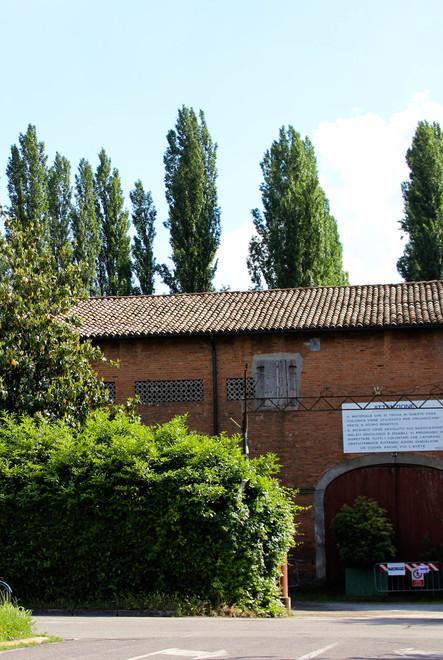 Tosi respinge il progetto: salve tre piante