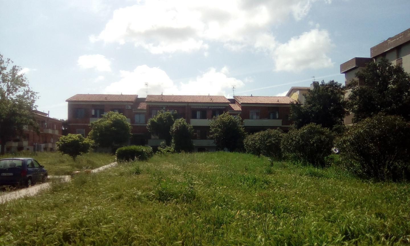 Giardini senza alcuna manutenzione