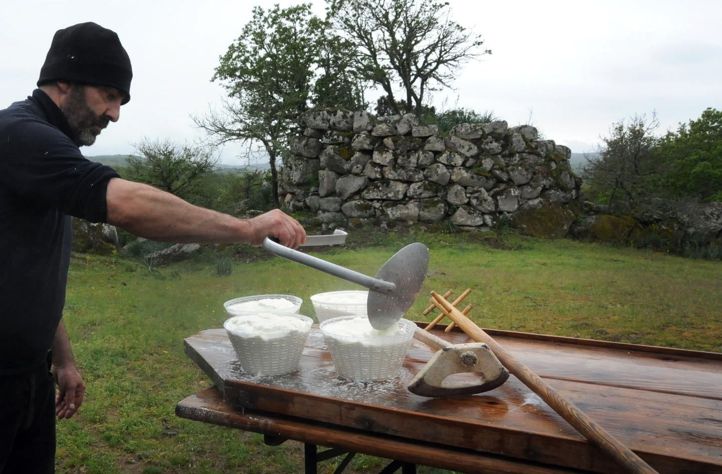 Ricotta alla riscossa dolce, salata e light 
