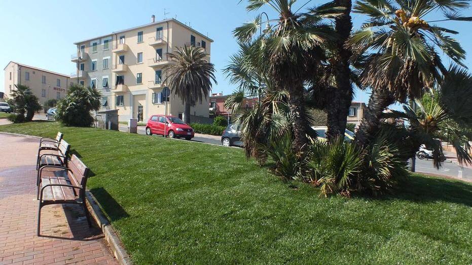 Con palme e prato un altro belvedere in piazza Manzoni