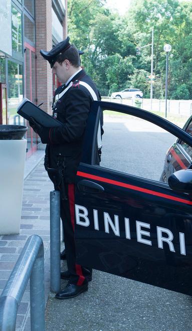 Escrementi di topi: locale chiuso 