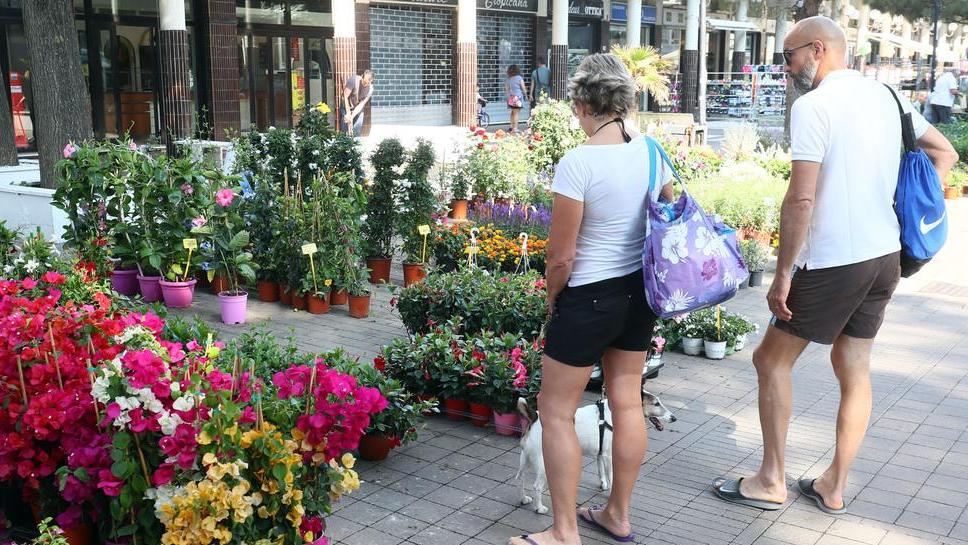 Estensi, un mare in fiore per la mamma