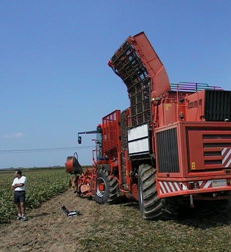 Barbabietola a rischio La Cia: Ue e Regione aiutino i produttori 