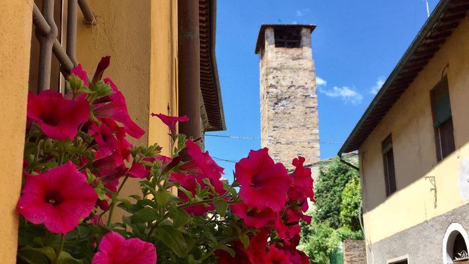 Vicopisano diventa capitale del florovivaismo