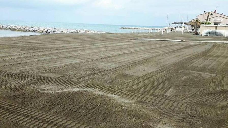 Verso l’estate: via alla pulizia delle spiagge