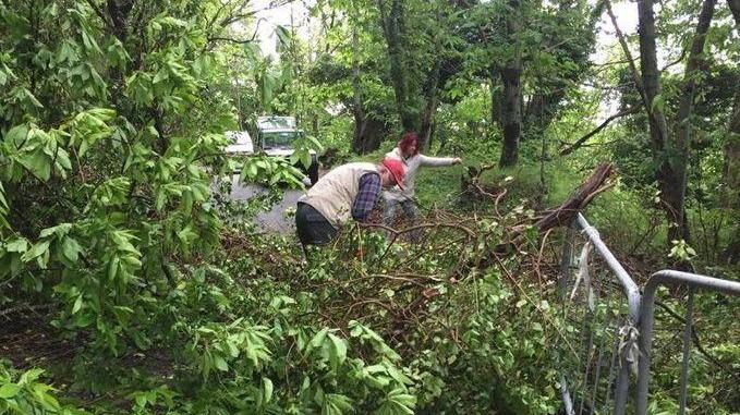 Maltempo, cade un grosso albero: pericolo frana