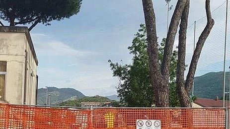 Addio alle barriere a scuola e al distretto Partono i lavori