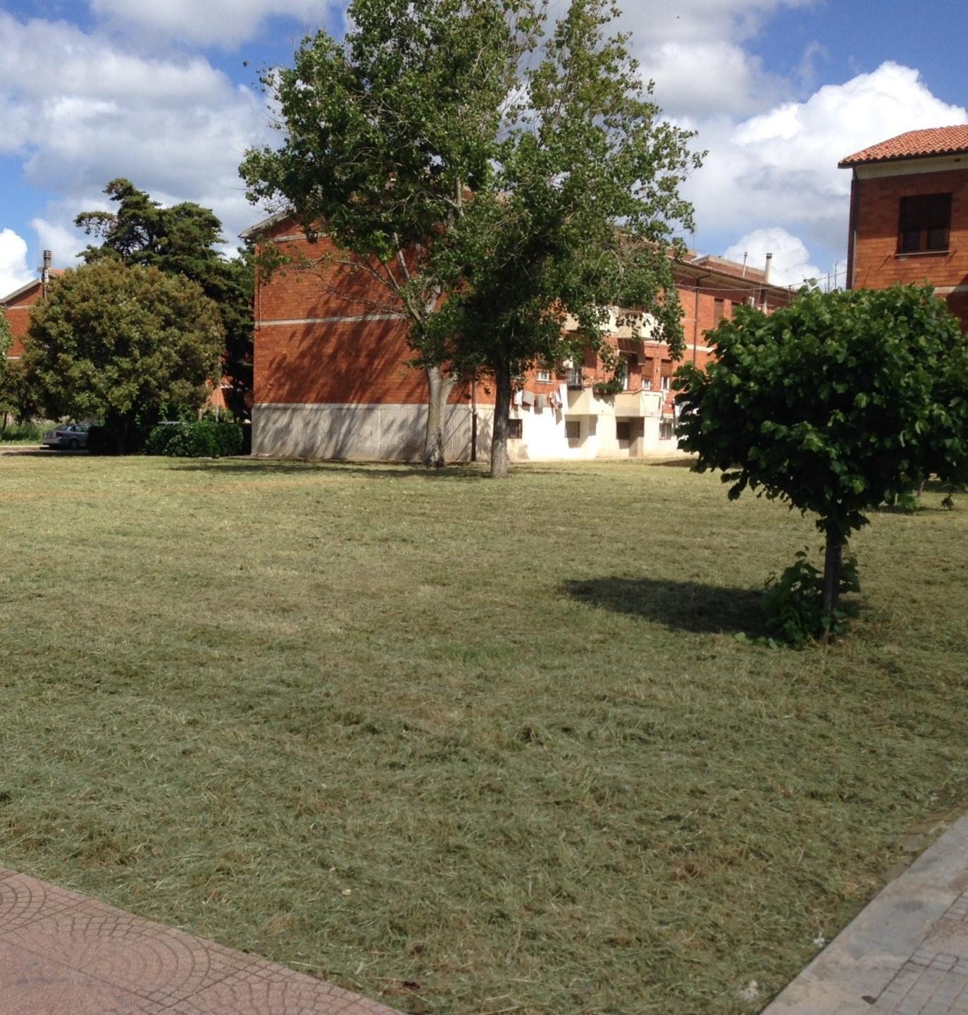 Ripuliti i giardini di piazzale Lazio