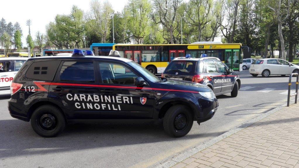 I carabinieri del Nucleo cinofili