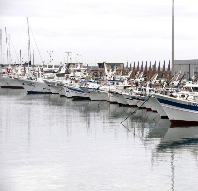 Alle barche grandi fa gola la darsena chiamata Viareggio