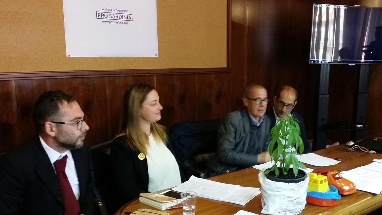 Dalla cannabis all’Anas promossi 4 referendum