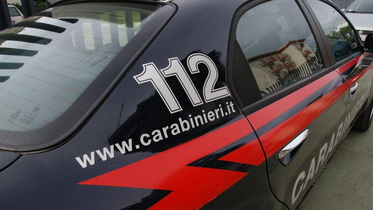 Jerzu, allevatore derubato nella notte di 10 mucche e 50 pecore