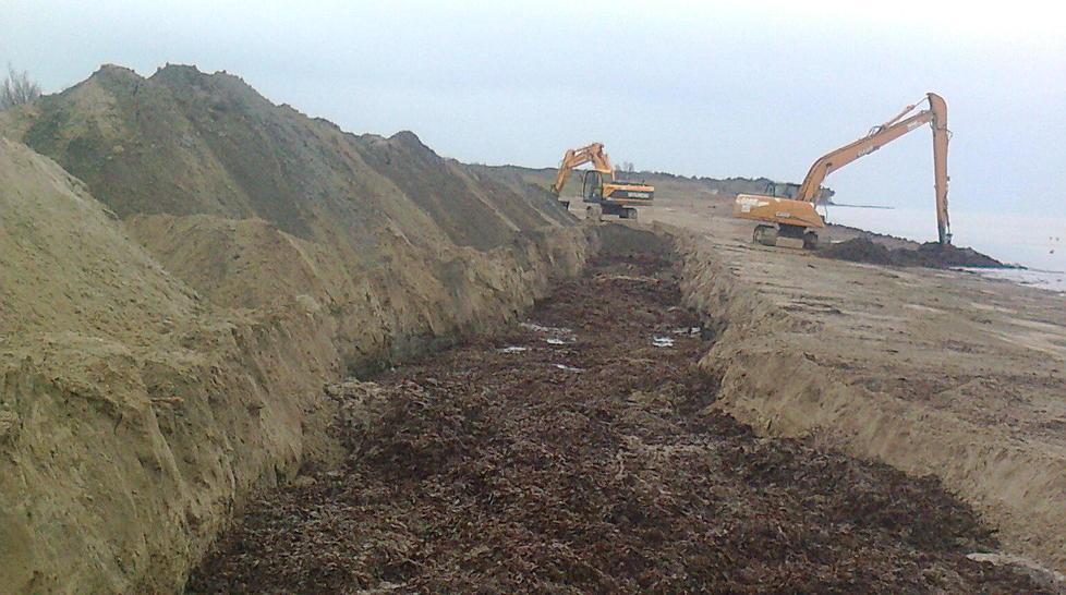 Alghe sulle spiagge, via alla rimozione 