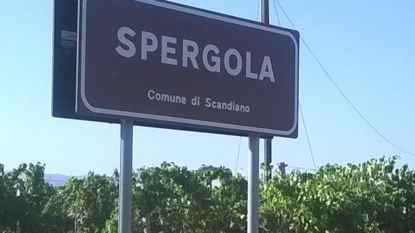 La camminata della Spergola tra cantine e sentieri Cai