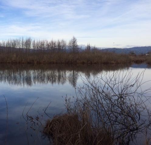 «No al capannone accanto alla riserva del lago di Sibolla» 